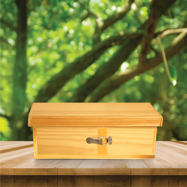 Thùng chuyên mật nắp đậy (kích thước 15*15*45cm)