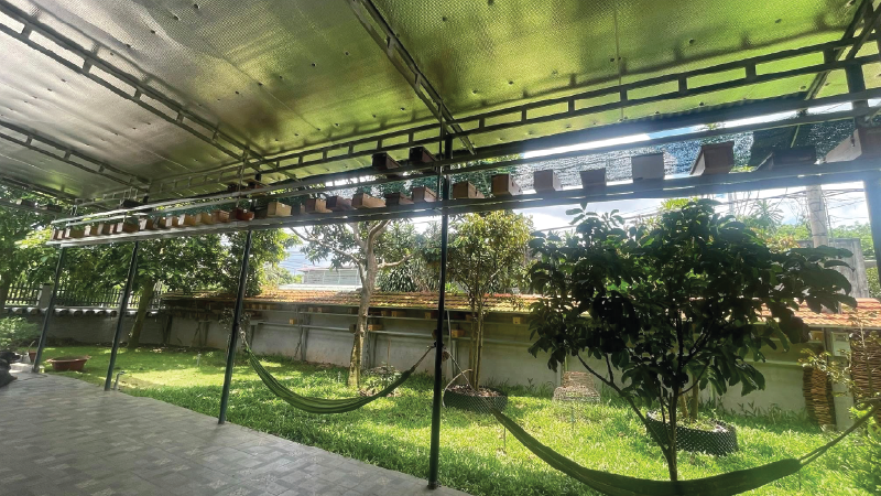 Không gian nuôi ong dú tại nhà
